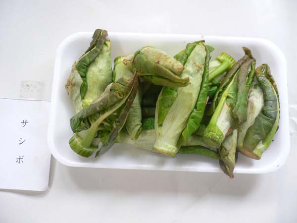 c0133533_22565330.jpg