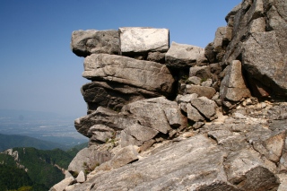 d0055236_91419.jpg