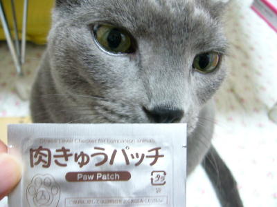 ストレスチェック?_d0152937_20385039.jpg