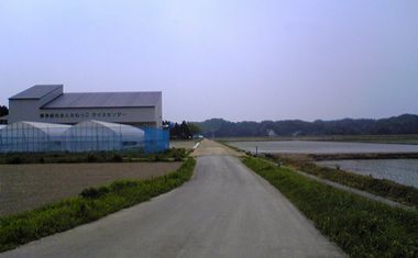 イオンがコメ生産_f0081443_21313913.jpg