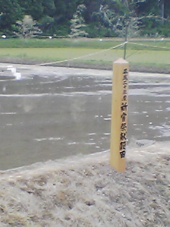 e0085052_2175458.jpg