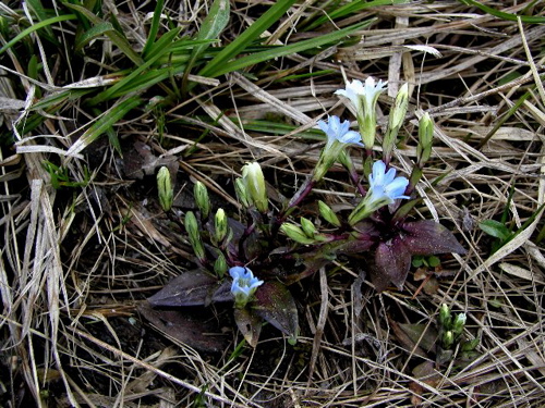 d0105063_14173447.jpg