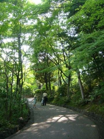 大山崎山荘美術館で中国茶_f0073974_14412719.jpg