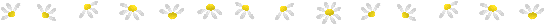 b0136683_191563.gif