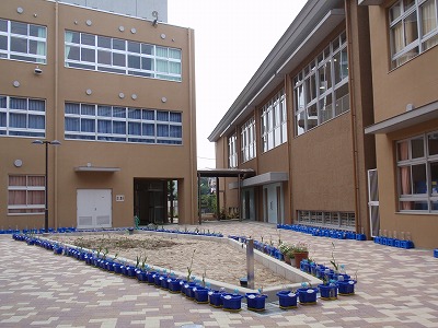 c0105785_8111285.jpg