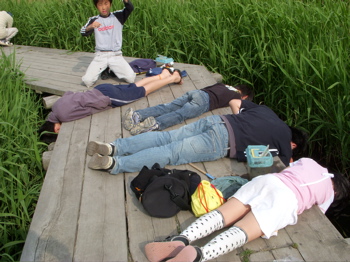 ☆☆初夏の陽気に誘われて☆☆_c0149195_20533892.jpg