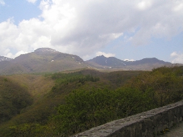 c0035297_2041884.jpg