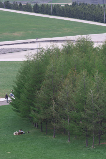 2008年　桜をもとめて　～　モエレ沼公園の巻_f0003598_2252354.jpg