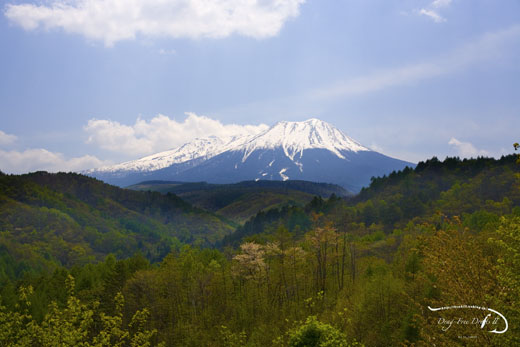 f0085599_2358586.jpg