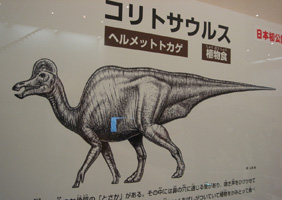恐竜ラボへ行ってきました_c0073813_2256143.jpg