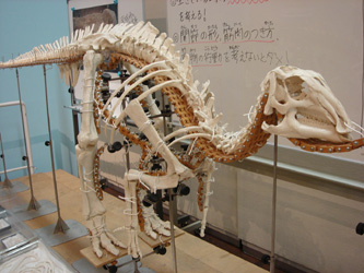 恐竜ラボへ行ってきました_c0073813_22564688.jpg