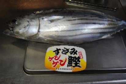 ケンケンかつお_e0025817_2016357.jpg