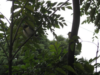 多忙です。_c0102228_21122536.jpg