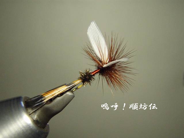 c0106128_23231625.jpg