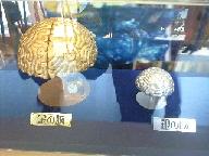 f0128146_15255133.jpg