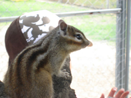 c0073649_23105364.jpg