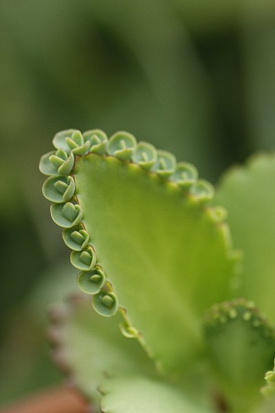 c0155950_22514023.jpg