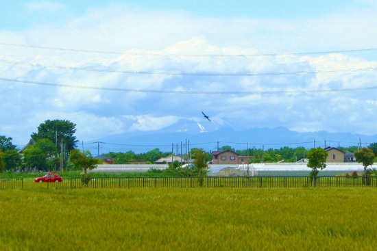 e0126350_21273155.jpg