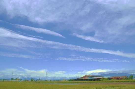 e0126350_21583574.jpg