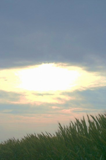 e0126350_22491419.jpg