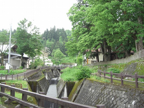 雨上がりの毘沙門様_a0084753_16521497.jpg