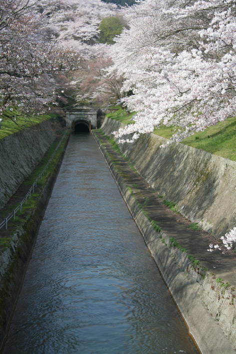 c0012454_2122197.jpg