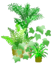 c0079255_10161219.gif