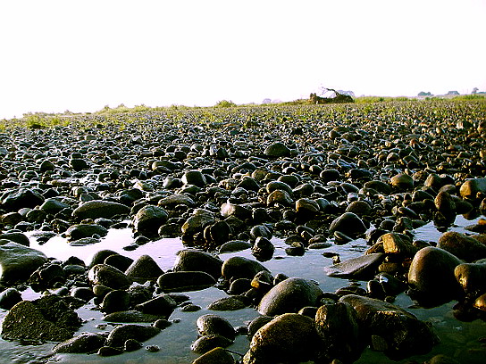 f0084561_11325556.jpg