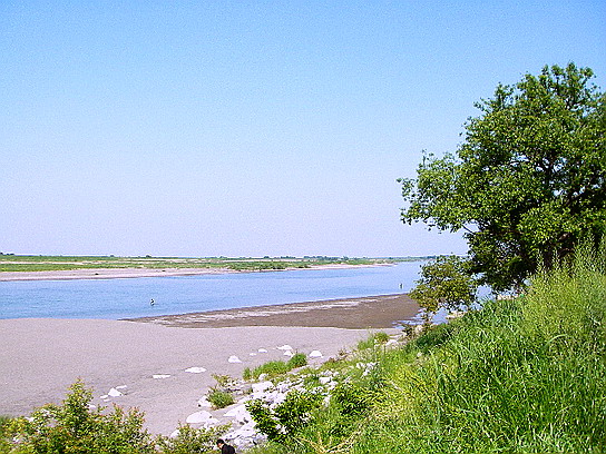 f0084561_11343186.jpg