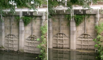 c0112172_37359.jpg