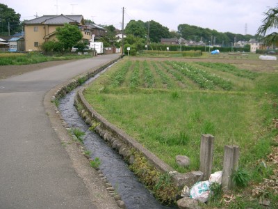 府中用水通水開始2008_c0112172_38325.jpg