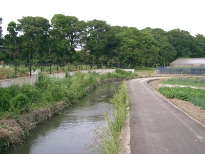 c0112172_38329.jpg