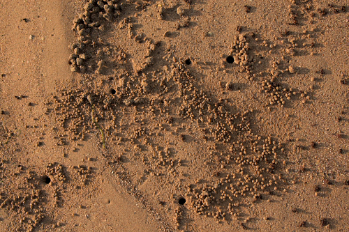 a0108078_0322477.jpg