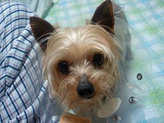 c0121183_1265679.jpg