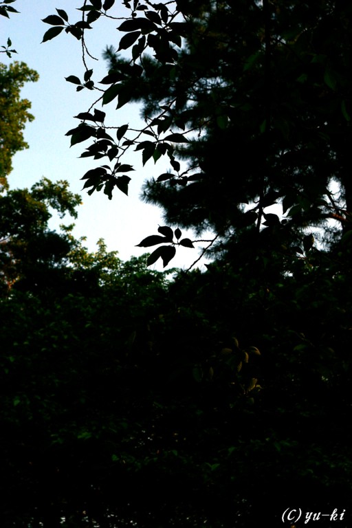 f0156895_18513237.jpg