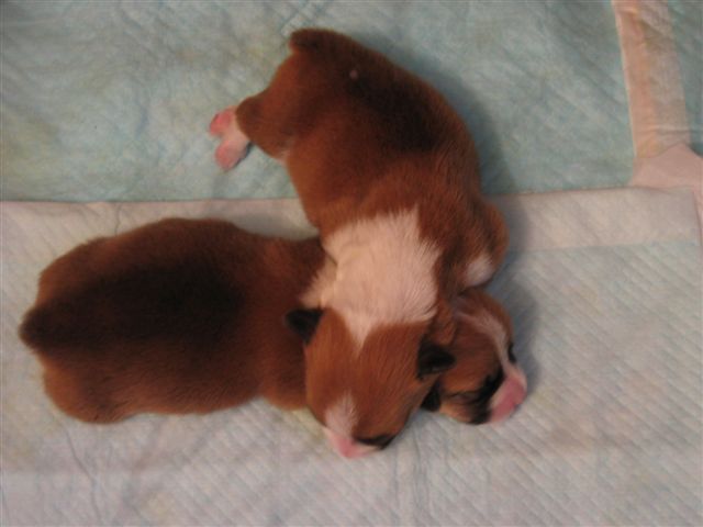b0122401_23355556.jpg