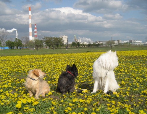 d0009101_2032676.jpg