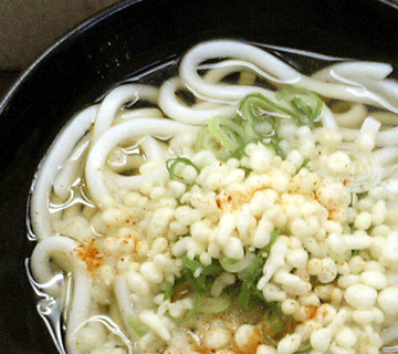 ■一杯のかけうどん２００円：西口うどん（ＪＲ鶴橋駅西口前） _a0004802_22452834.gif