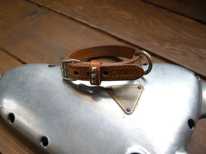 Dog Collar_f0161305_11161564.jpg