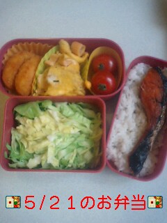 ☆５/２１のお弁当☆_f0170809_12491589.jpg