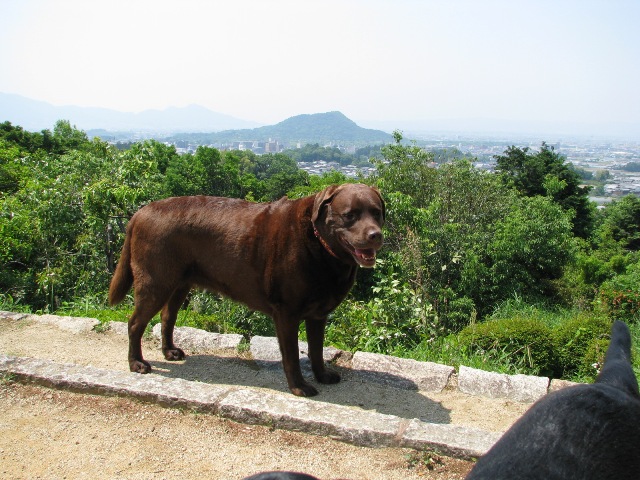 d0081210_21522615.jpg