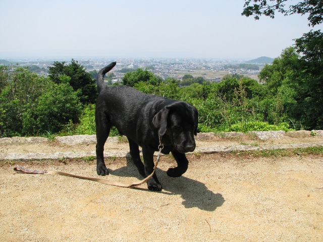 d0081210_2254535.jpg