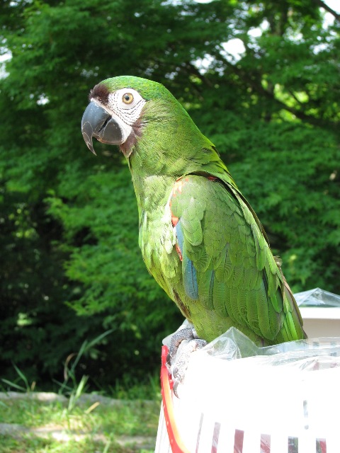 d0081210_227296.jpg