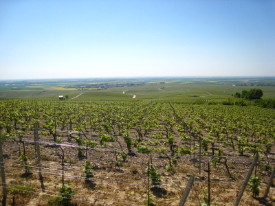d0105310_23214916.jpg