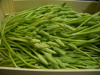 e0123016_21143989.jpg