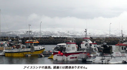 アイスランド、商業捕鯨再開！ソトコト7月号にご期待を！_c0003620_13415427.jpg