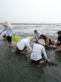 今が旬！　浜名湖で潮干狩り_c0053520_194052.jpg