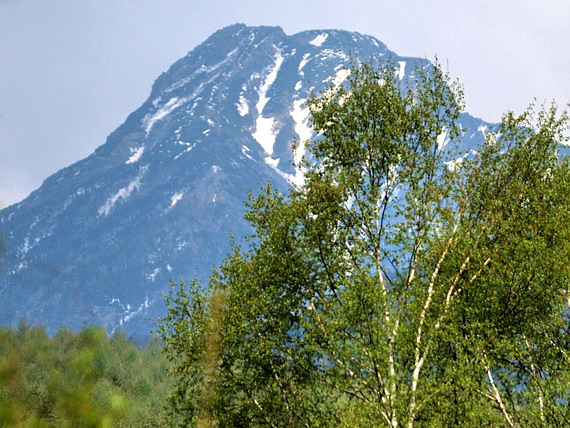 d0090322_2311772.jpg