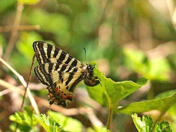 d0090322_2321524.jpg