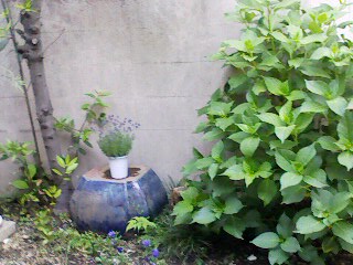 f0149924_1546383.jpg
